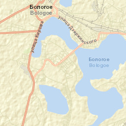 Bologoye Street Map