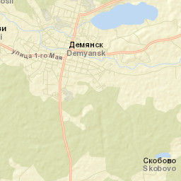 Demyansk Street Map