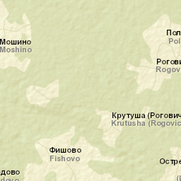 Demyanskiy Rayon Street Map