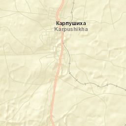 Karpushikha Street Map
