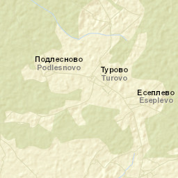 Borisoglebskiy Rayon Street Map