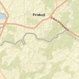Priekuļi Street Map
