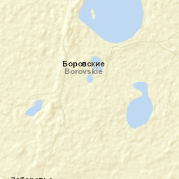 Ostrovskiy Rayon Street Map