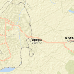 Vichuga Street Map