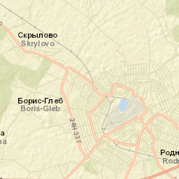 Rodniki Street Map