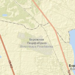 Borovskiy Street Map