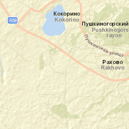 Pushkinskiye Gory Street Map