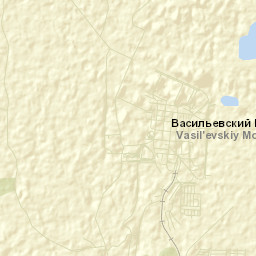Vasil’yevskiy Mokh Street Map