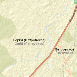 Petrovsk Street Map