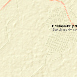 Bakchar Street Map