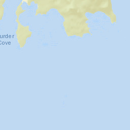 Tyee Alaska Street Map