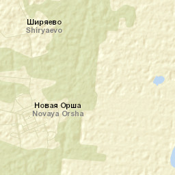 Orsha Street Map