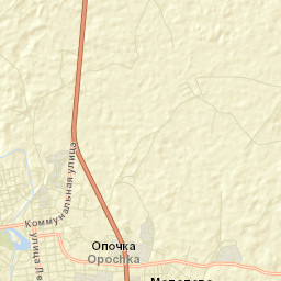 Opochka Street Map