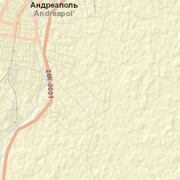 Andreapol’ Street Map