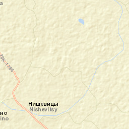 Toropetskiy Rayon Street Map