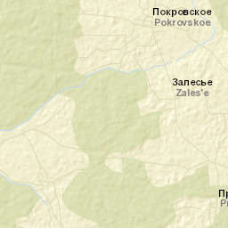 Savinskiy Rayon Street Map
