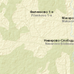 Pestyakovskiy Rayon Street Map