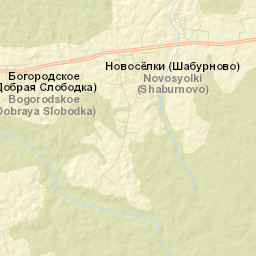 Bogorodskoye Street Map