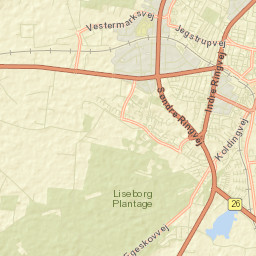 Viborg Street Map