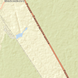 Reshetnikovo Street Map