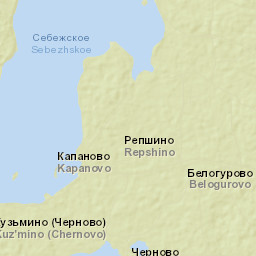 Sebezhskiy Rayon Street Map