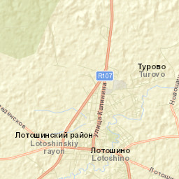 Lotoshino Street Map