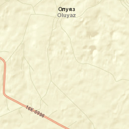 Kukmorskiy Rayon Street Map