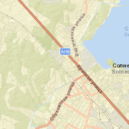Solnechnogorsk Street Map