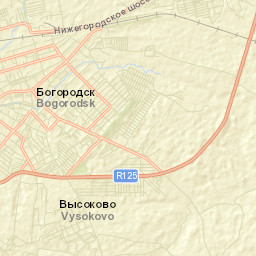 Bogorodsk Street Map