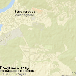 Zelenogorsk Street Map