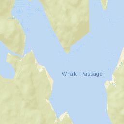 Whale Pass Alaska Street Map