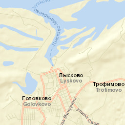 Lyskovo Street Map