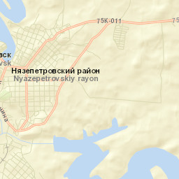 Nyazepetrovsk Street Map
