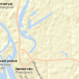 Zvenigovo Street Map
