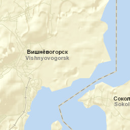 Vishnëvogorsk Street Map