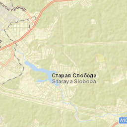 Grebnevo Street Map