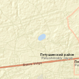 Petushki Street Map