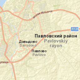 Pavlovo Street Map