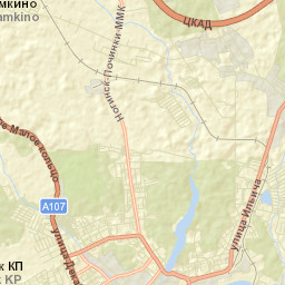 Noginskiy Rayon Street Map