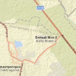 Elektrogorsk Street Map
