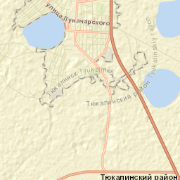Tyukalinsk Street Map