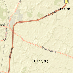 Ølgod Street Map