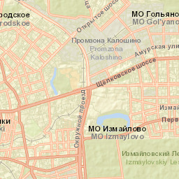 Bogorodskoye Street Map