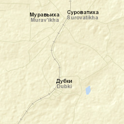 Surovatikha Street Map