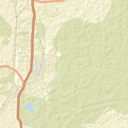 Likino-Dulevo Street Map