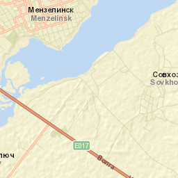 Menzelinsk Street Map