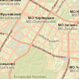 Zyuzino Street Map