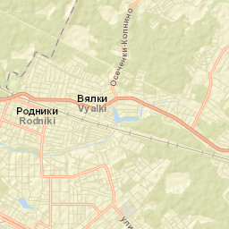 Rodniki Street Map
