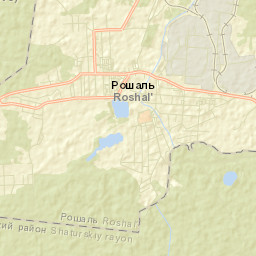 Roshal’ Street Map
