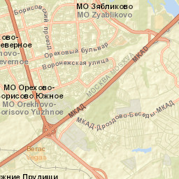 Orekhovo-Borisovo Street Map